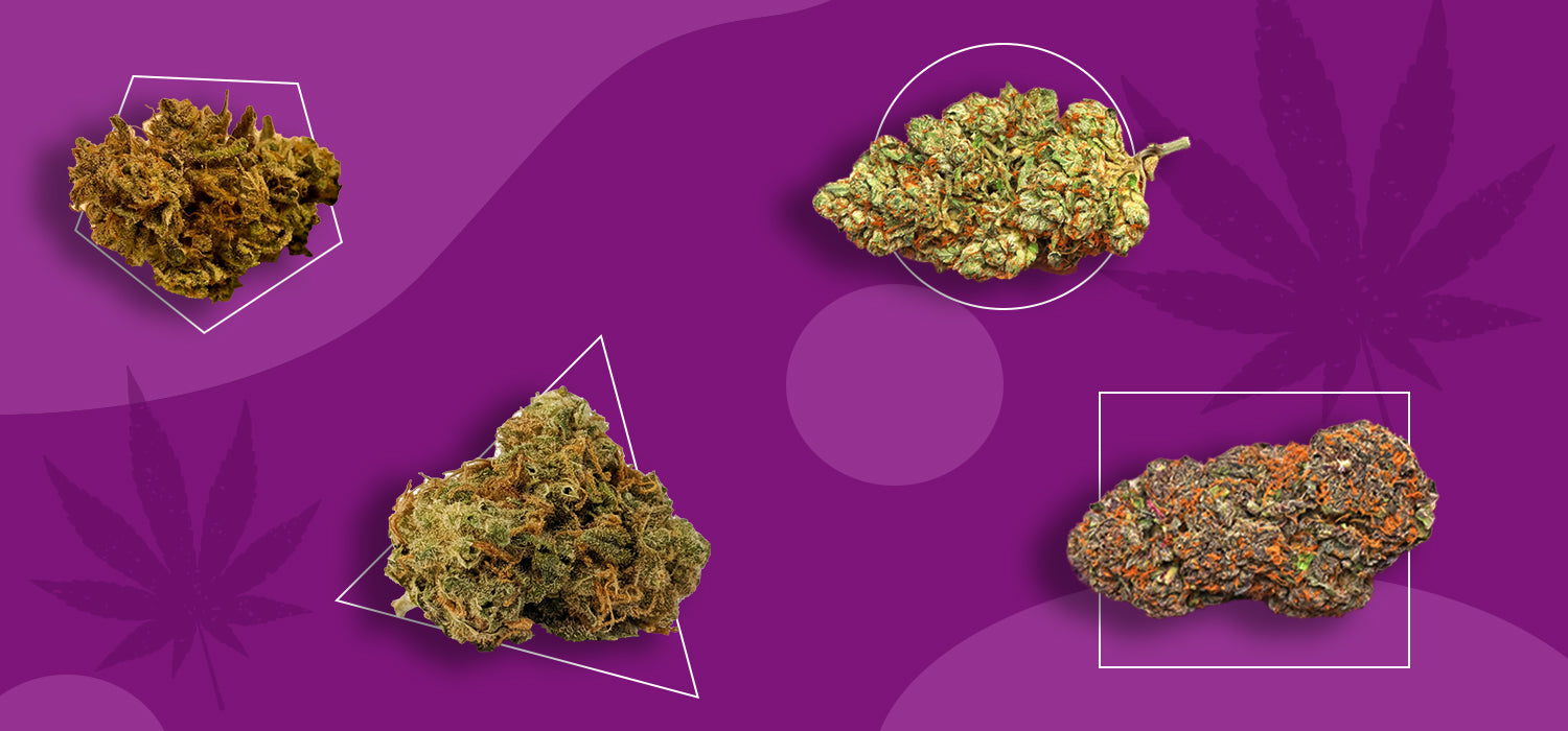 Types of Weed (Cannabis) and Strains